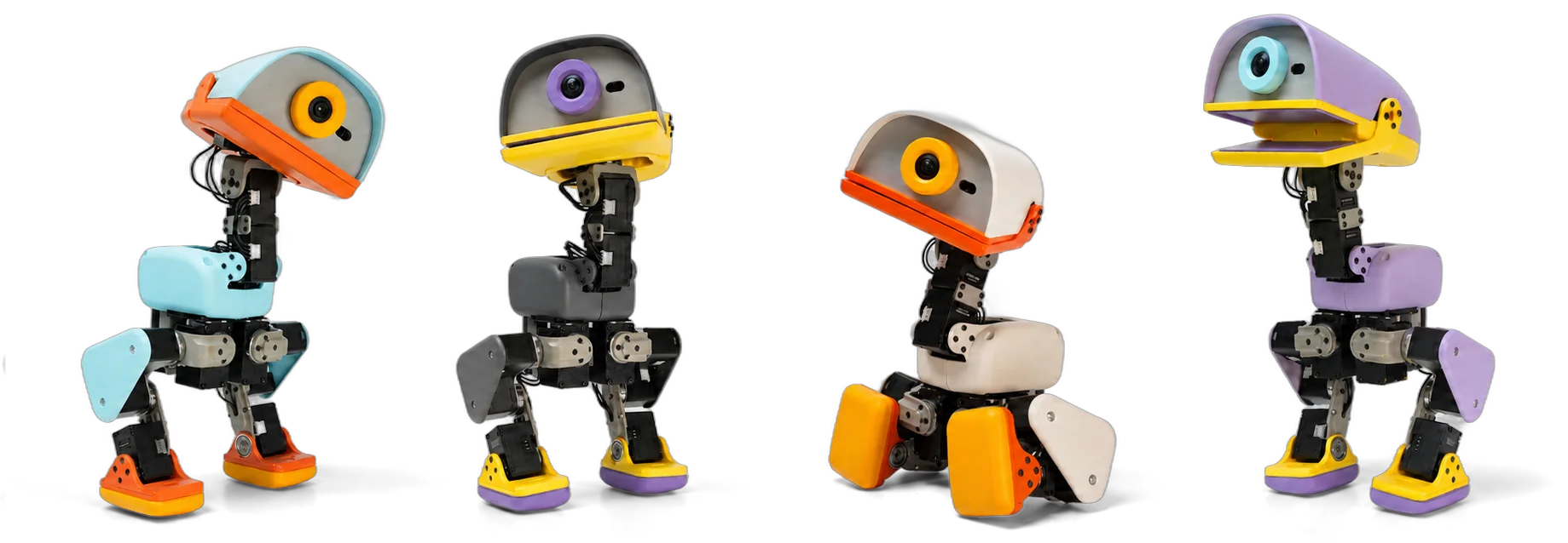 The MACRODUCK squad